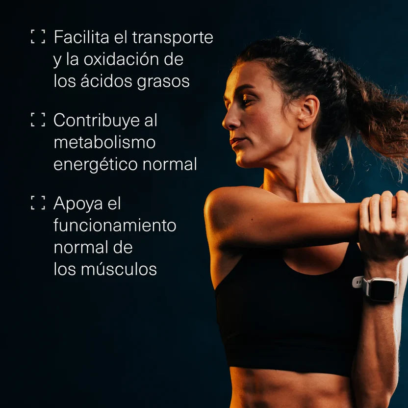 L-Carnitina Tartrato 2000 mg | Metabolismo de Grasas y Rendimiento Muscular | 200 Comprimidos (10651487732058)