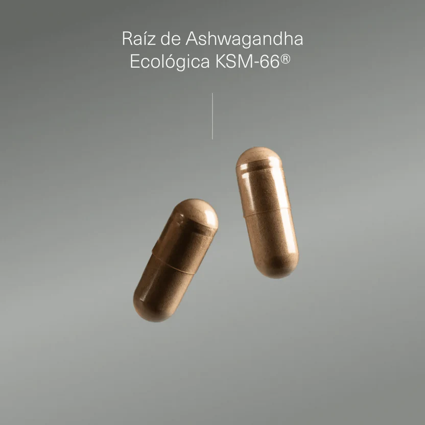 Pack Estrés, Ansiedad y Estado de Ánimo | Ashwagandha + Triptófano + Magnesio + GABA (10664426570074)