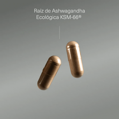 Pack Estrés, Ansiedad y Estado de Ánimo | Ashwagandha + Triptófano + Magnesio + GABA (10664426570074)