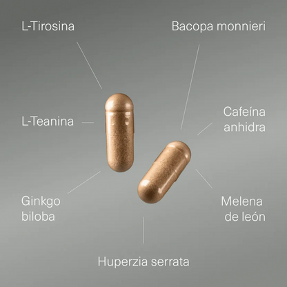 Pack Rendimiento Mental | Nootrópico + Ashwagandha + Triptófano + Magnesio (10664417788250)