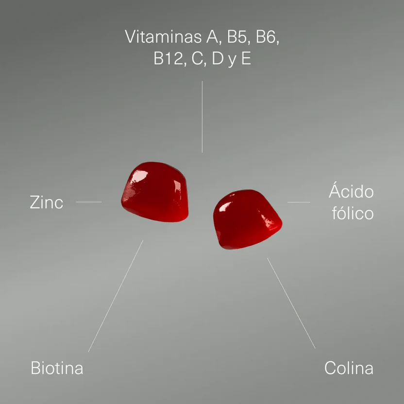 Multivitaminas en Gominolas Veganas con Vitaminas A, B, C, D, E y Minerales | Energía, Inmunidad y Bienestar | 120 Gominolas (10652242444634)
