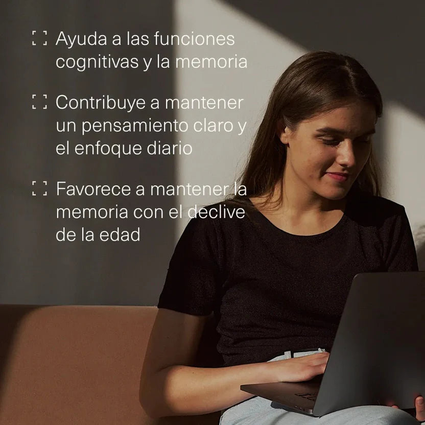 Pack Rendimiento Mental | Nootrópico + Ashwagandha + Triptófano + Magnesio (10664417788250)