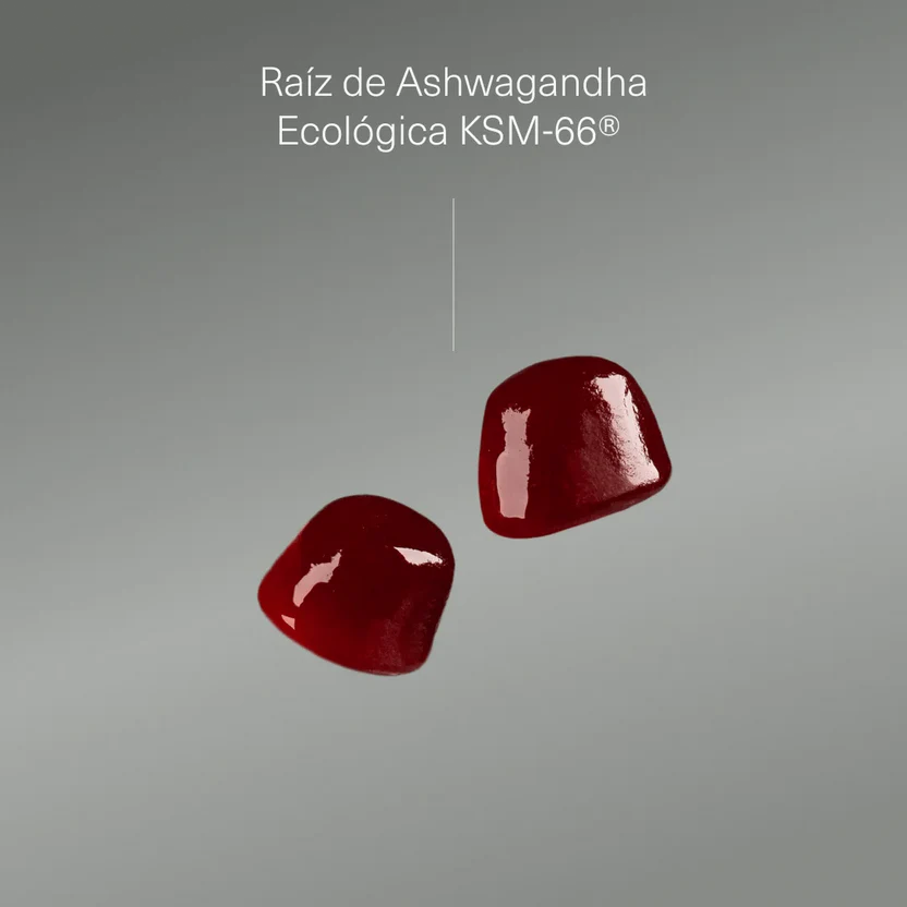 Ashwagandha KSM-66® en Gominolas Sabor Cereza | Apoyo al Estrés y Relajación | 120 Gominolas (10650968916314)