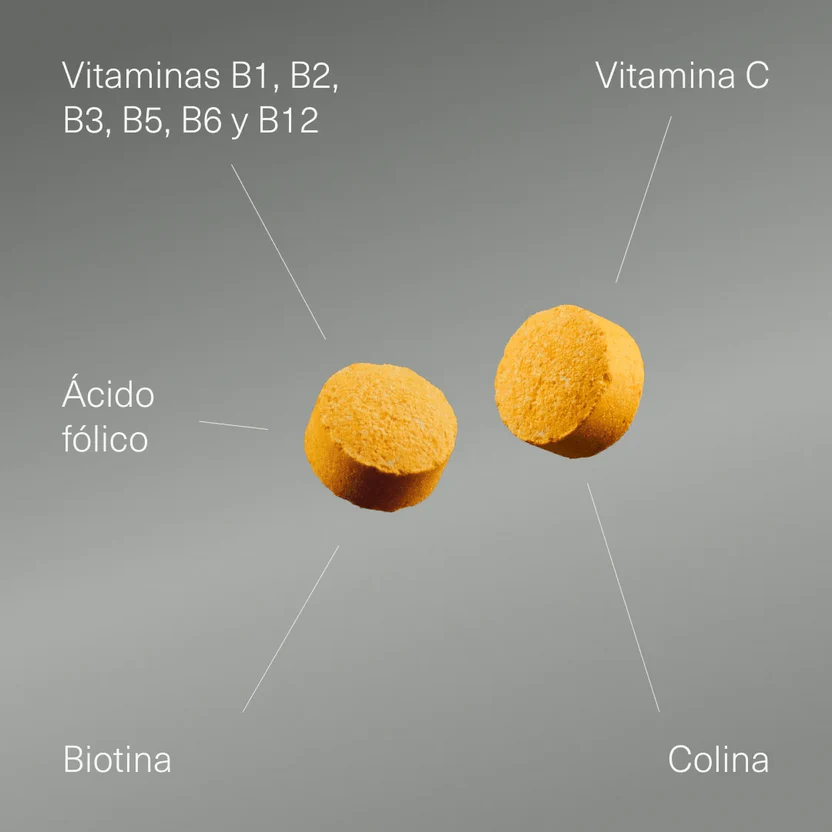 B Complex con Vitamina C, Ácido Fólico, Biotina y Colina | Metabolismo Energético y Función Psicológica | 400 Comprimidos (10652235071834)