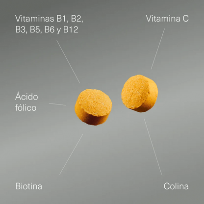B Complex con Vitamina C, Ácido Fólico, Biotina y Colina | Metabolismo Energético y Función Psicológica | 400 Comprimidos (10652235071834)