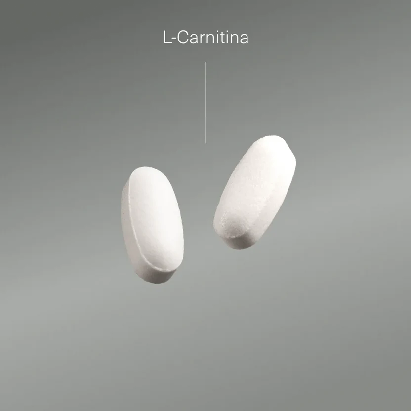 Pack Deporte Fuerza: Creatina + Maca Negra + L-Carnitina + Magnesio | Masa Muscular y Rendimiento (10664426504538)