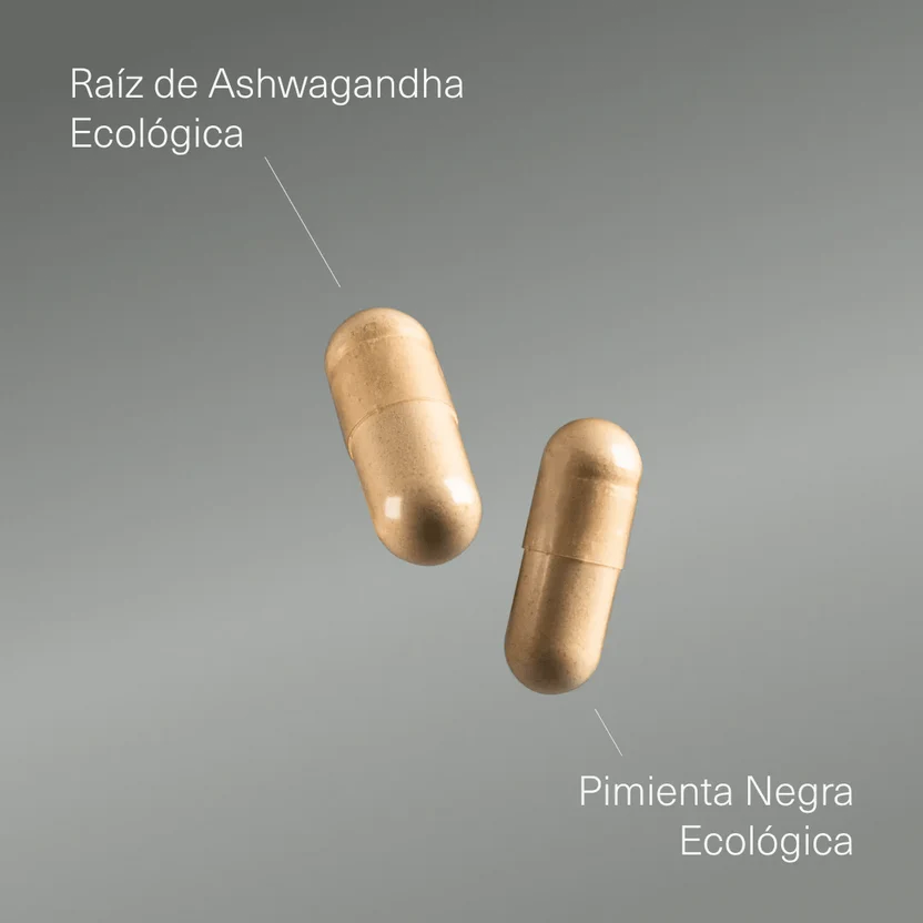 Pack Dormir: Melatonina + Triptófano + Magnesio + GABA | Sueño Reparador Natural (10664427684186)