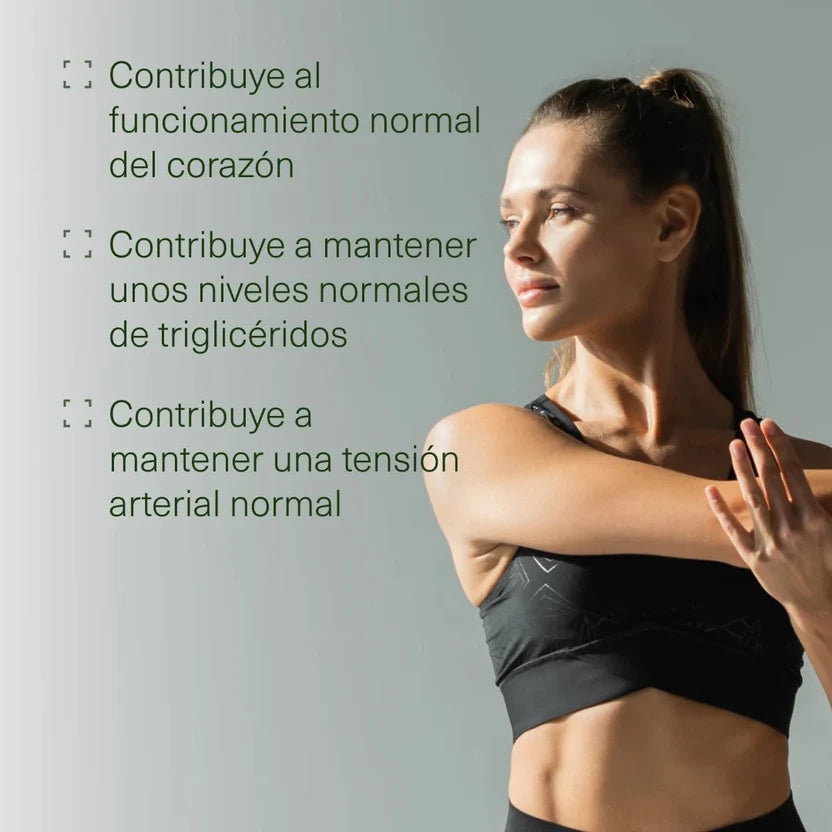 Pack Rendimiento Mental | Nootrópico + Ashwagandha + Triptófano + Magnesio (10664417788250)