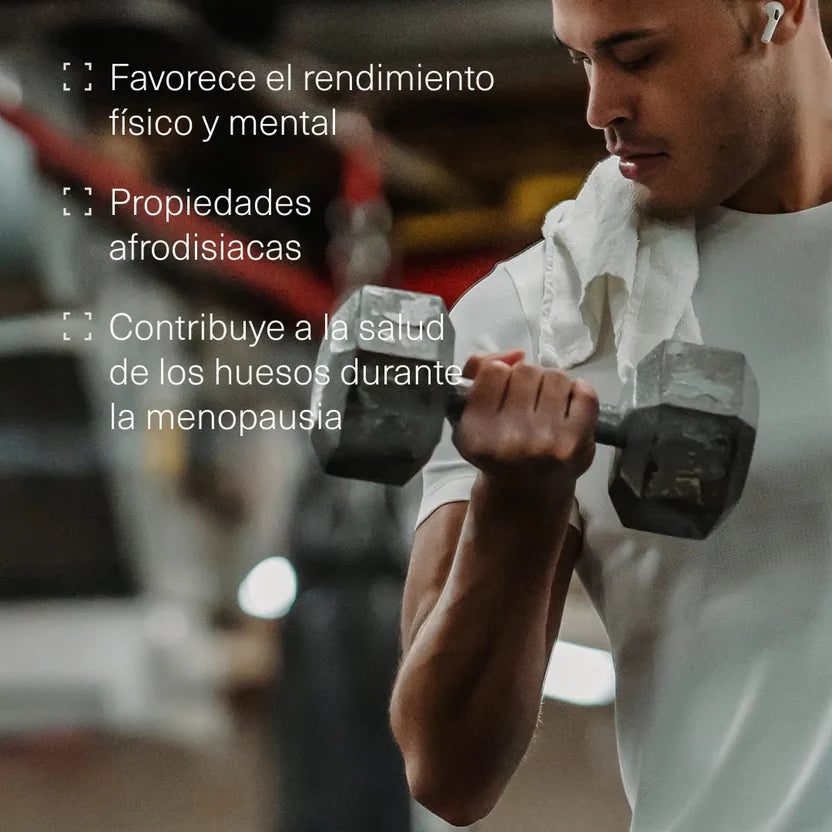 Pack Deporte Resistencia: Creatina + L-Carnitina + Maca Andina + Magnesio | Energía y Recuperación (10664425357658)