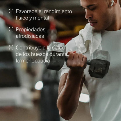 Pack Deporte Resistencia: Creatina + L-Carnitina + Maca Andina + Magnesio | Energía y Recuperación (10664425357658)